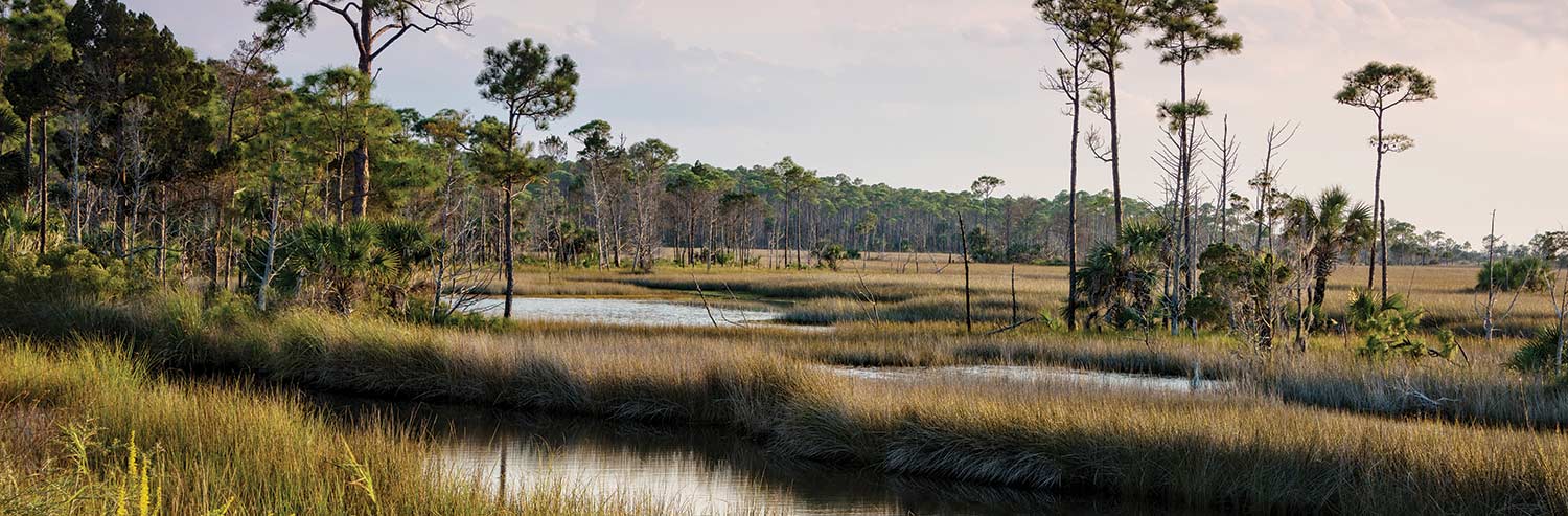 An image of large landscape area
