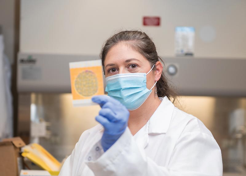 Dr. Dianna Bourassa