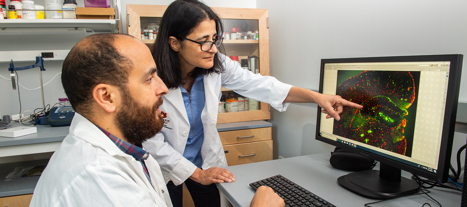 Faculty and student look at data on computer screen