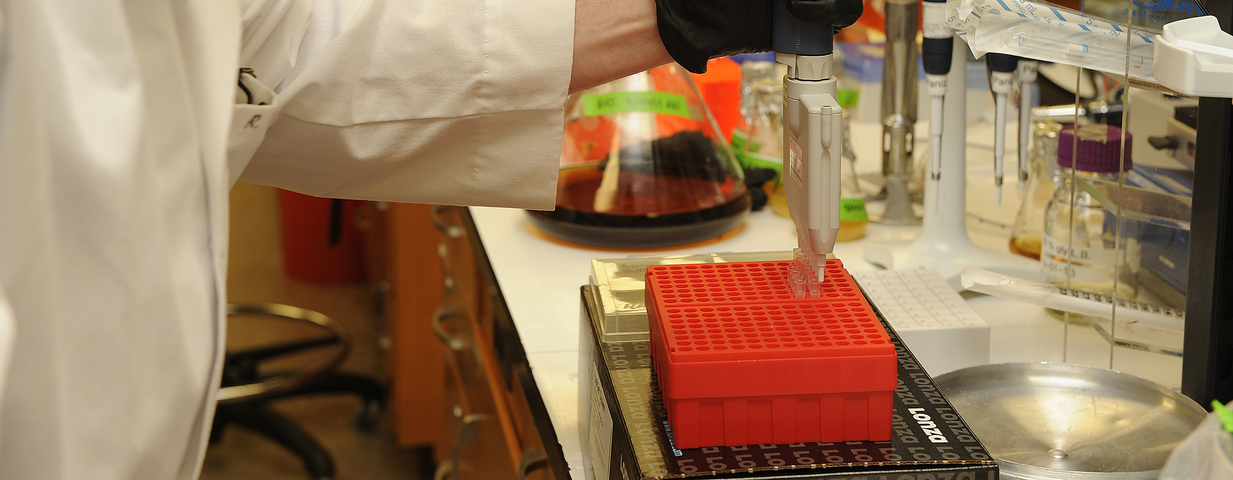 Drug Discovery and Development Laboratory