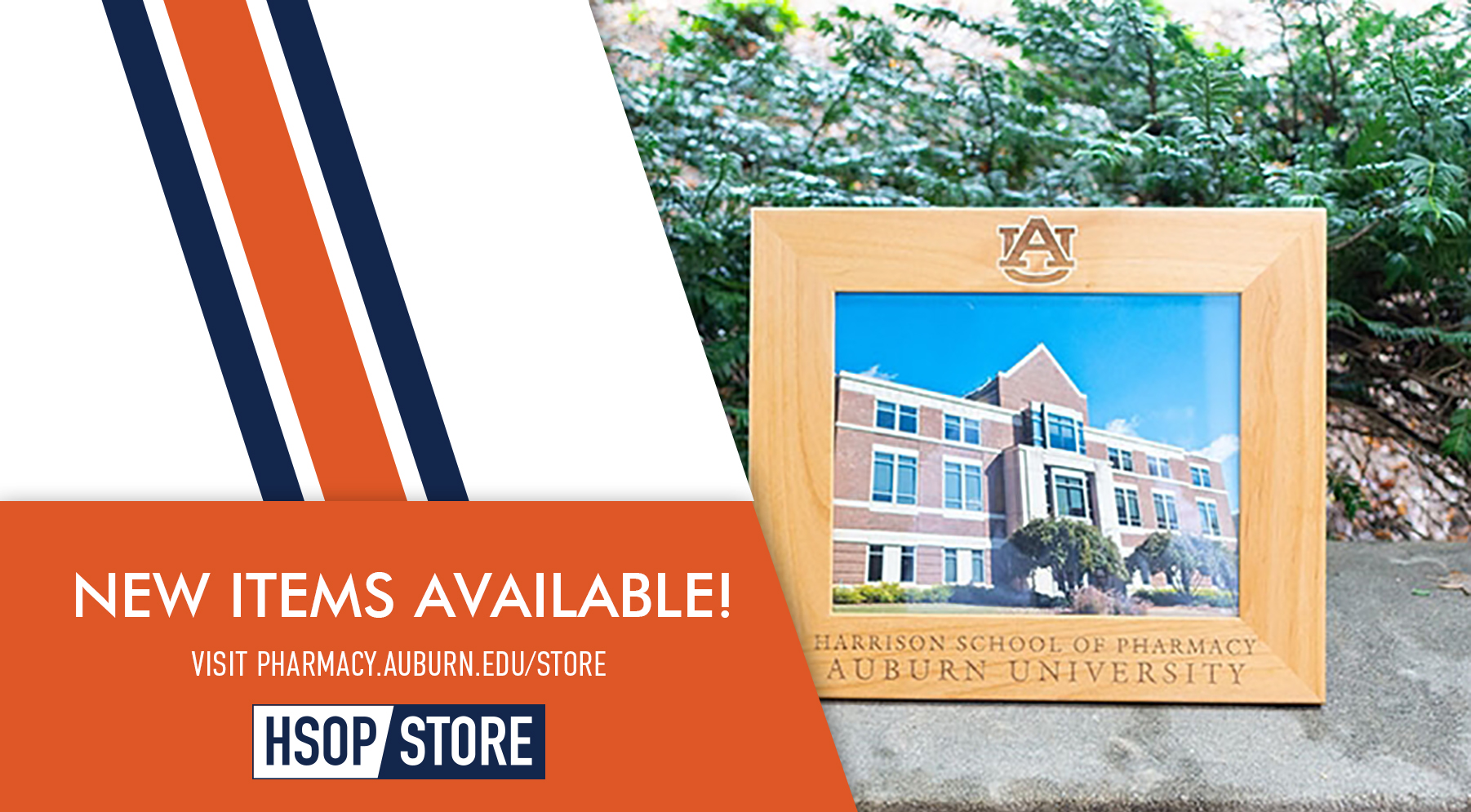 HSOP picture frame