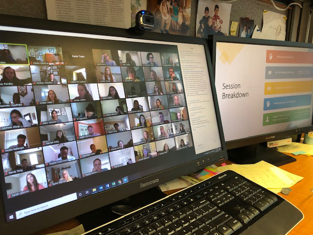 Zoom call window