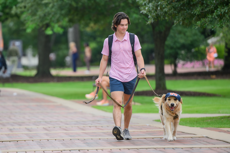 a student walking his dog on campus